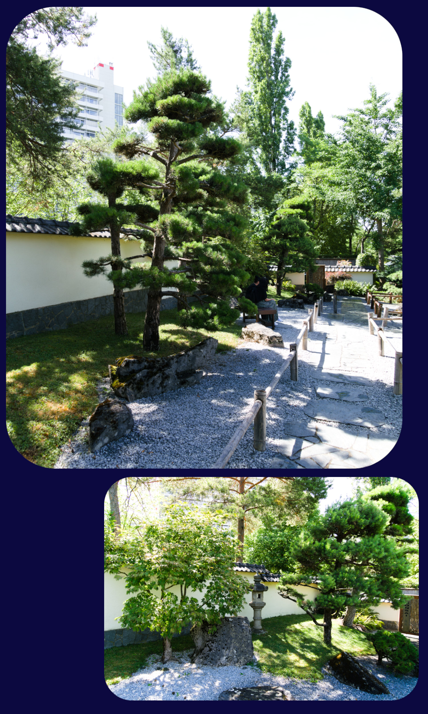 Bluehendes Barock Japangarten